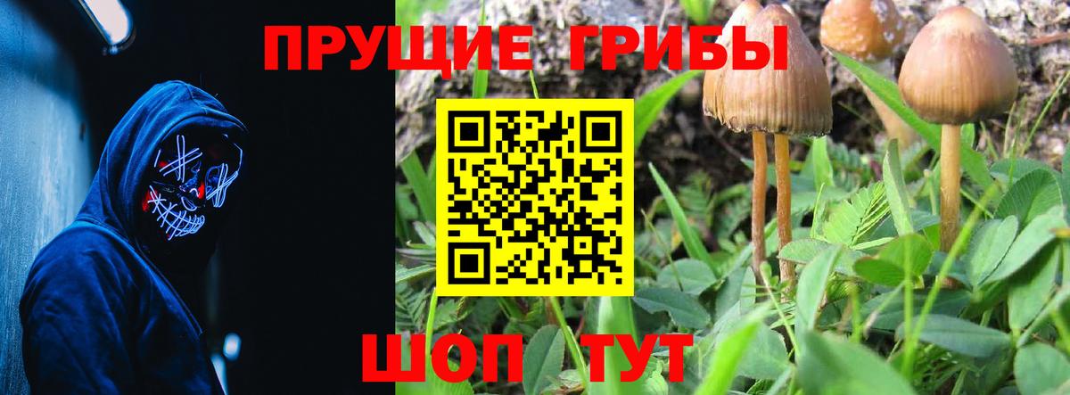 Дзержинский  Галлюциногенные грибы GOLDEN TEACHER  Вход с VPN 